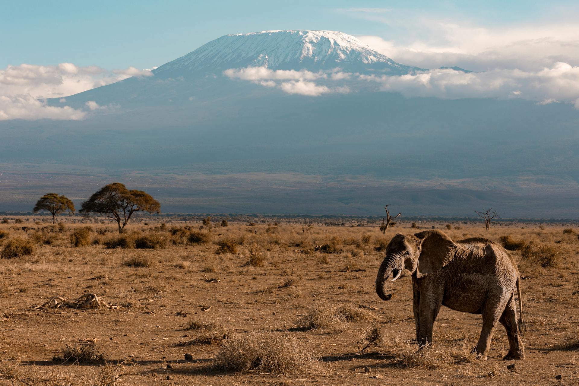 Mount Kilimanjaro Tour
