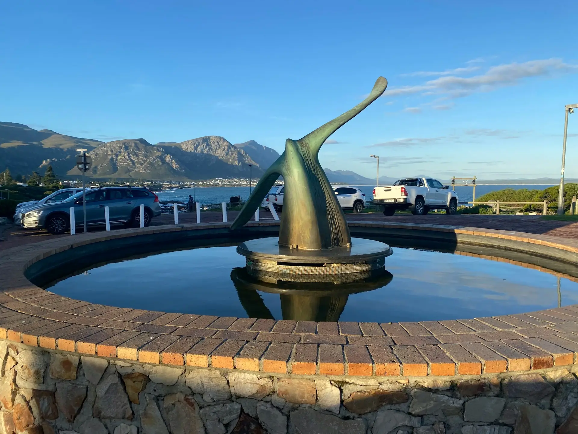 Whale watching Hermanus